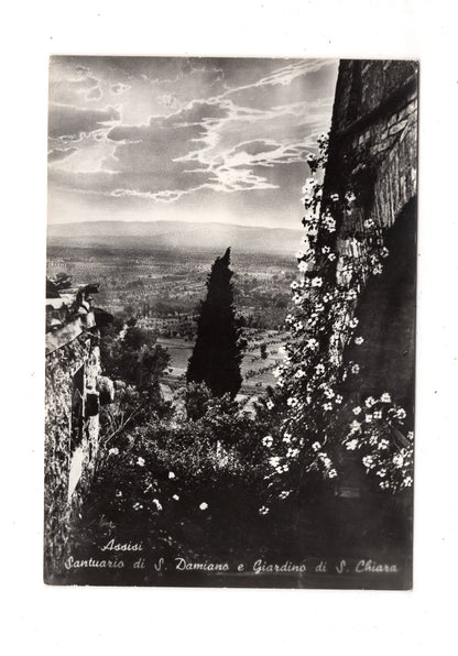 Ansichtskarte Assisi / Santuario di S. Damiano / Italien / N1-57