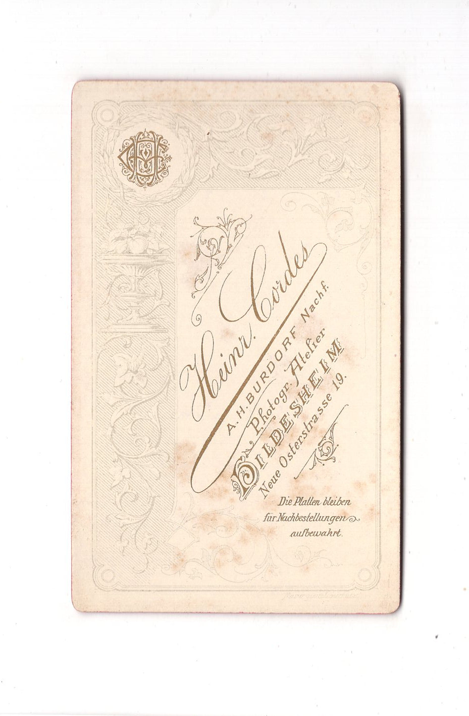 Fotografie Damenportrait - Hildesheim 1880er / CDV C1-14
