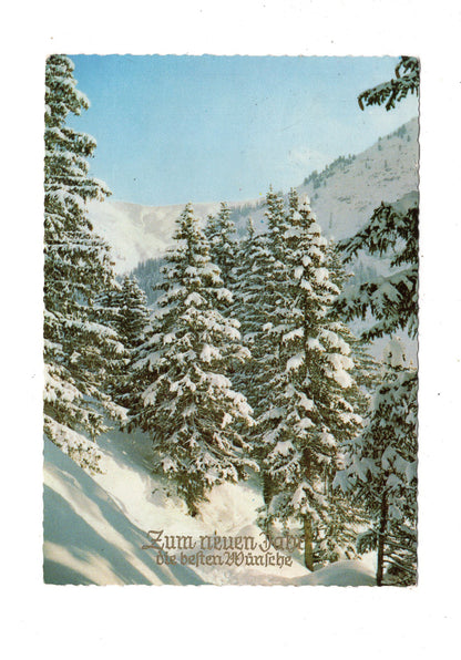 Ansichtskarte Feiertage / Frohes neues Jahr / K1-69