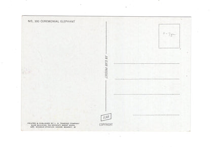 Ansichtskarte Ceremonial Elephant / Indien