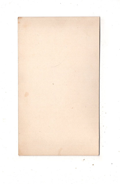 Fotografie Münster von Straßburg - 1870er