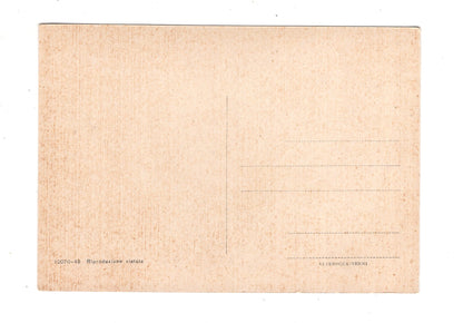 Ansichtskarte Assisi / Basilica Inferiore di S. Francesco / Italien / N1-57