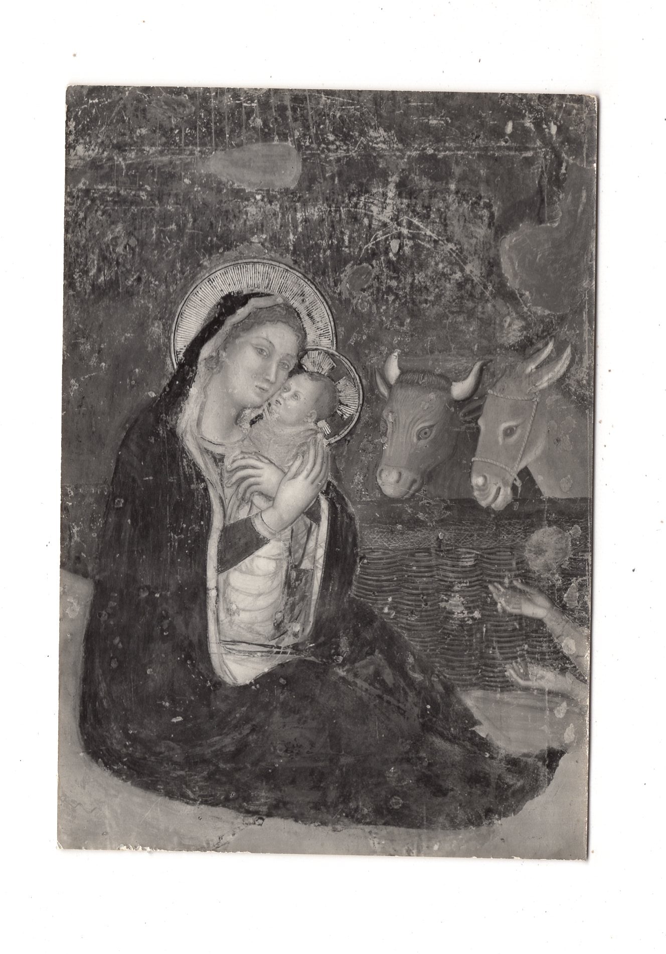 Ansichtskarte Assisi / Ciesa di S. Chiara / Italien / N1-57