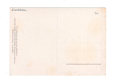 Ansichtskarte Feiertage / Frohes neues Jahr / K1-69