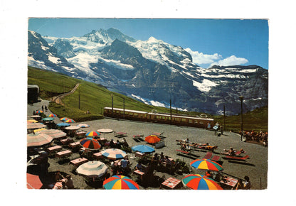 Ansichtskarte Kleine Scheidegg mit Jungfrau +++ / Schweiz