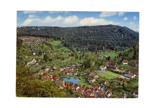Ansichtskarte Bad Liebenzell im Schwarzwald