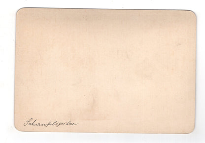 Fotografie Schaufelspitze / Stubaier Alpen / Österreich - 1880er / CAB V-20