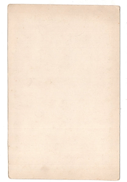 Fotografie Ortler mit Suldengletscher / Italien - um 1890 / CAB V-20