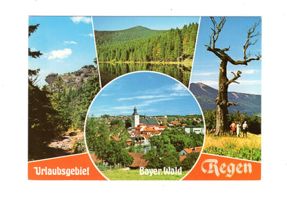 Ansichtskarte Regen / Bayerischer Wald