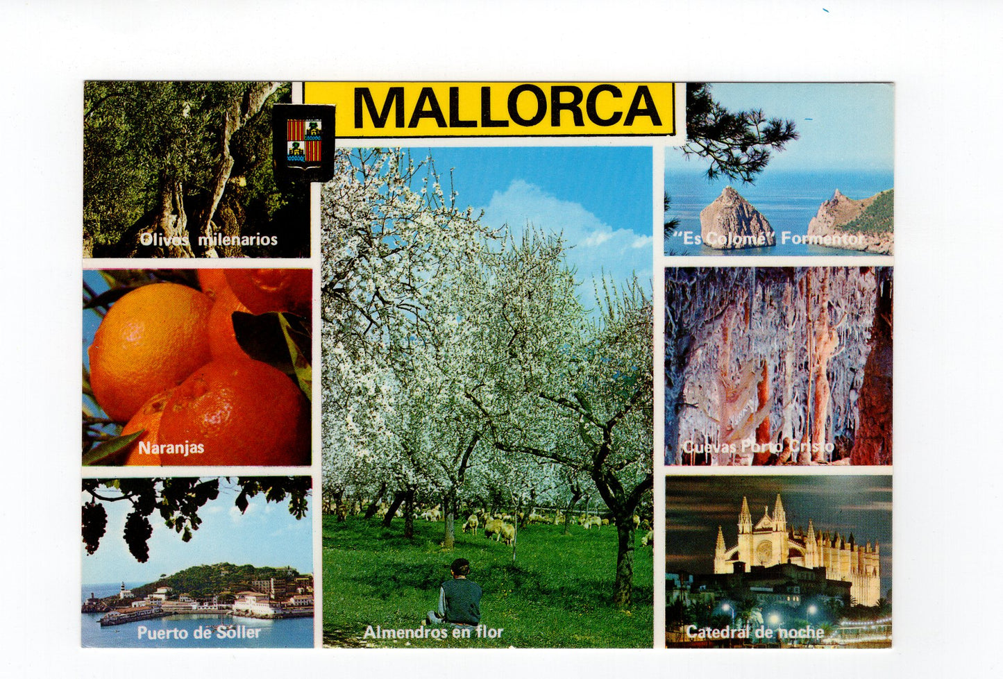 Ansichtskarte Mallorca / Spanien