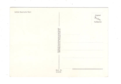 Ansichtskarte Bayerischer Wald / Pröller- Arber +++ / K1-51