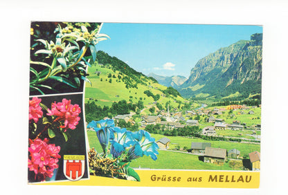 Ansichtskarte Mellau / Vorarlberg / Österreich