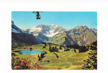 Ansichtskarte Körbersee im Begenzerwald / Österreich