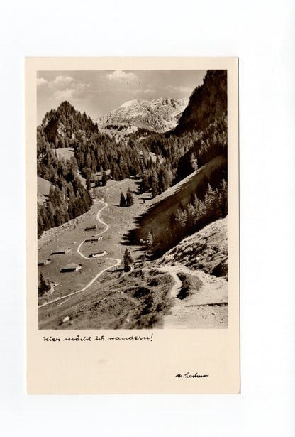 Ansichtskarte Königsbachalm mit Schneibstein / Österreich