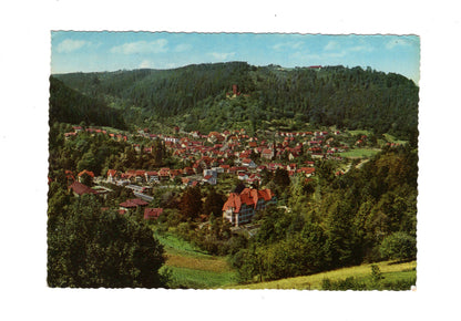 Ansichtskarte Bad Liebenzell im Schwarzwald mit Burg