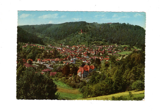 Ansichtskarte Bad Liebenzell im Schwarzwald mit Burg
