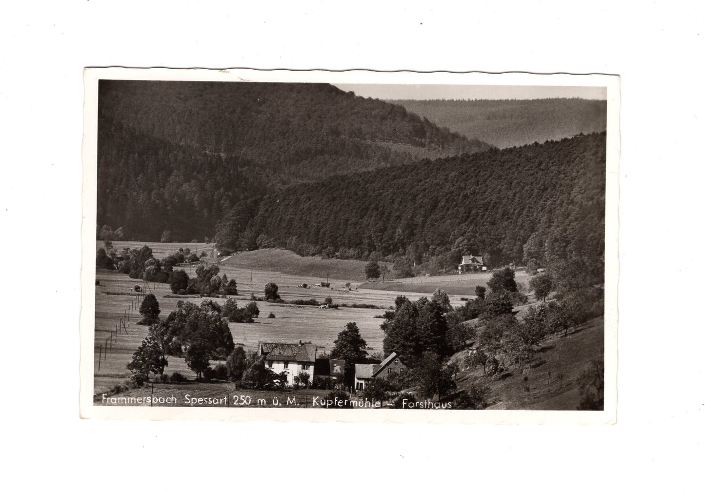 Ansichtskarte Frammersbach / Spessart / Kupfermühle - Forsthaus
