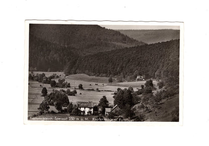 Ansichtskarte Frammersbach / Spessart / Kupfermühle - Forsthaus