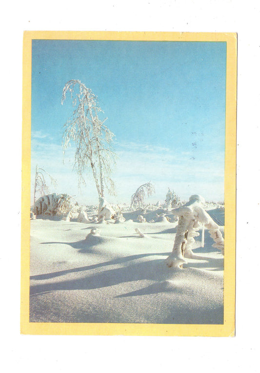 Ansichtskarte Feiertage / Frohes neues Jahr / K1-70