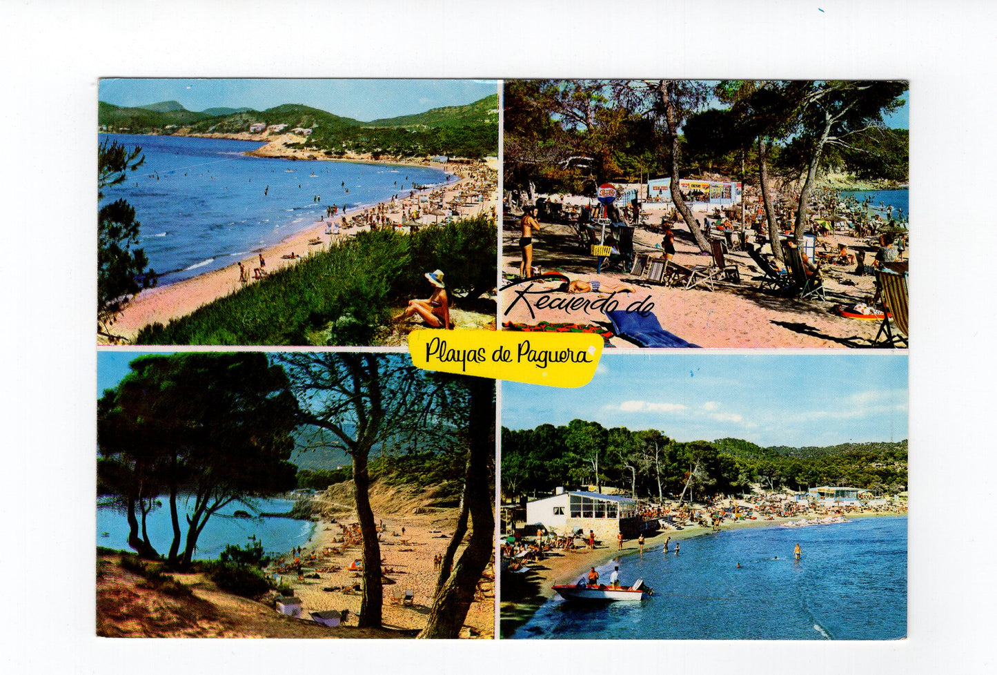 Ansichtskarte Mallorca / Playas de Paguera / Spanien