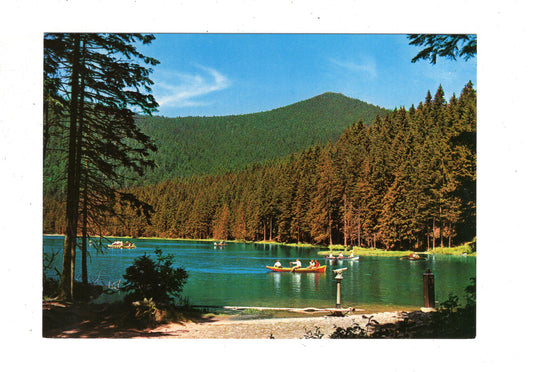 Ansichtskarte Großer Arbersee / Bayerischer Wald / K1-51