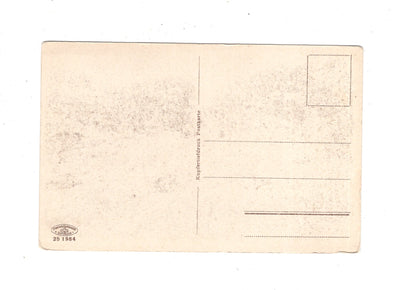 Ansichtskarte Trier an der Mosel / Porta Nigra / M1-56