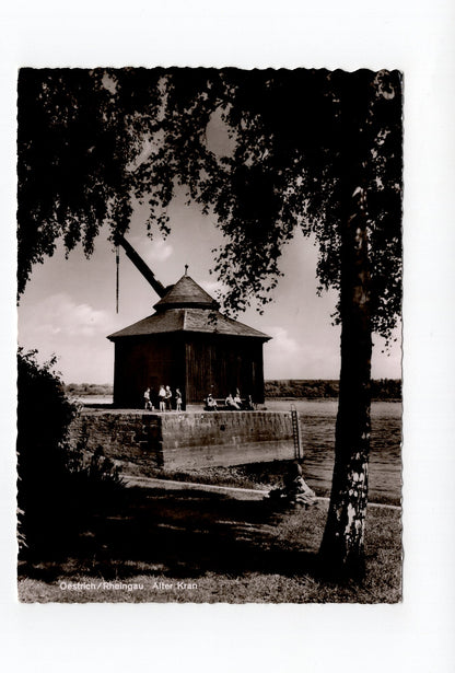 Ansichtskarte Oestrich / Rheingau / Alter Kran