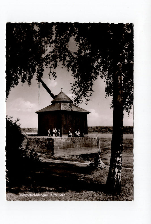 Ansichtskarte Oestrich / Rheingau / Alter Kran