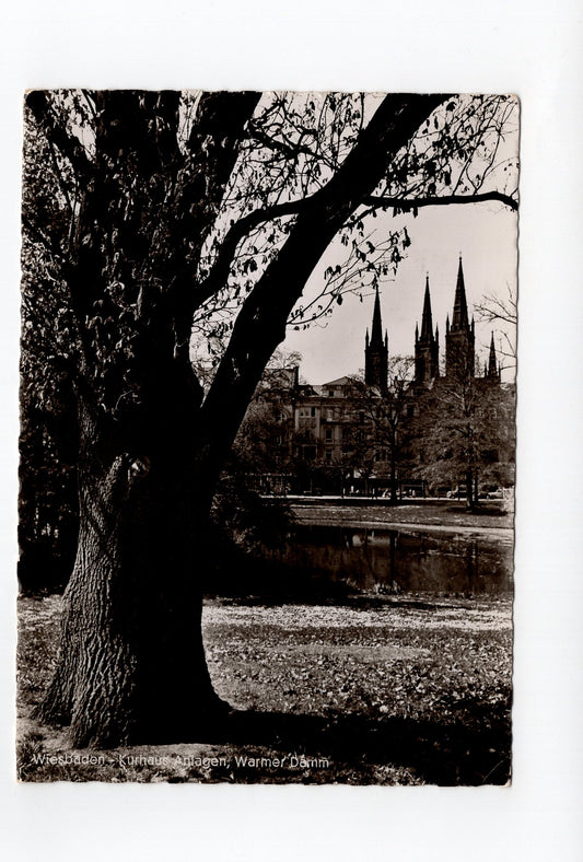 Ansichtskarte Wiesbaden / Kurhaus Anlagen / Warmer Damm