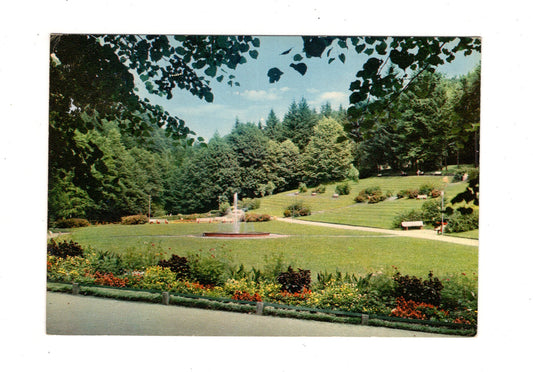 Ansichtskarte Bad Berneck im Fichtelgebirge / Im Kurpark