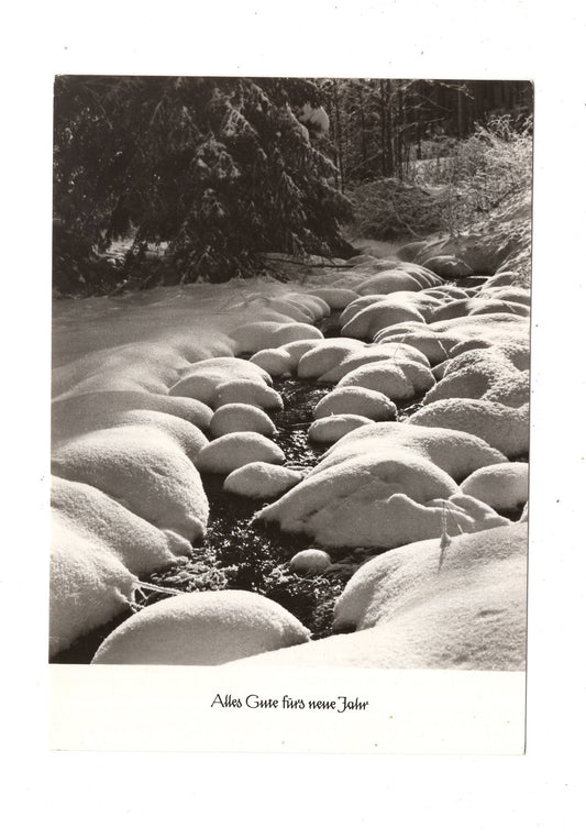 Ansichtskarte Feiertage / Frohes neues Jahr / K1-70