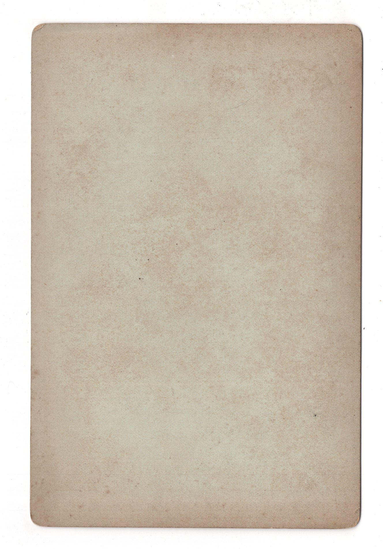 Fotografie Dresden / Kgl. Gr. Garten / Altertums-Museum - 1886 / CAB V-21