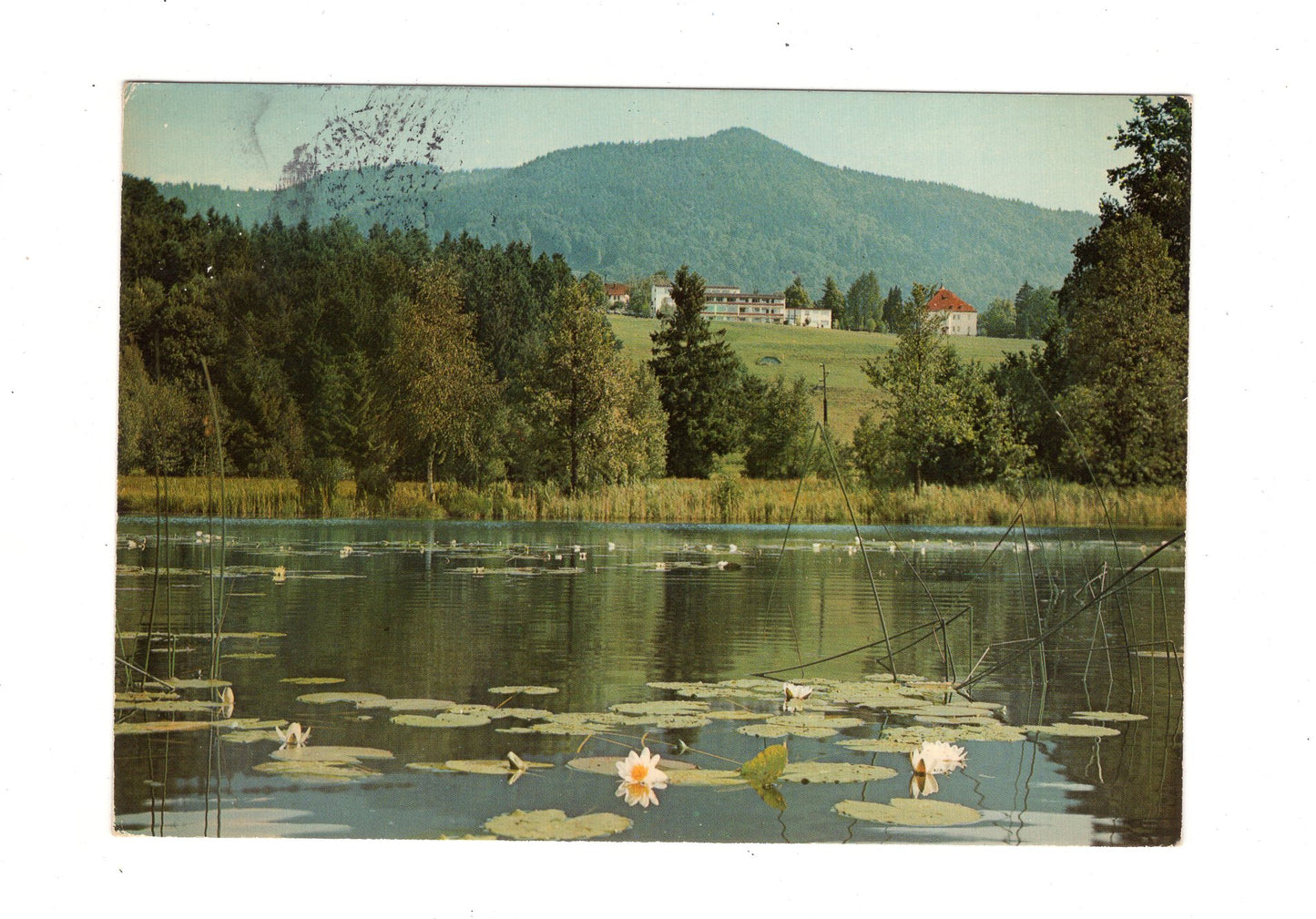 Ansichtskarte Bad Heilbrunn / Oberbayern / Schönauer Weiher