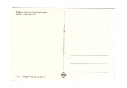 Ansichtskarte Riehen / Weiher im Wenkenpark / Schweiz