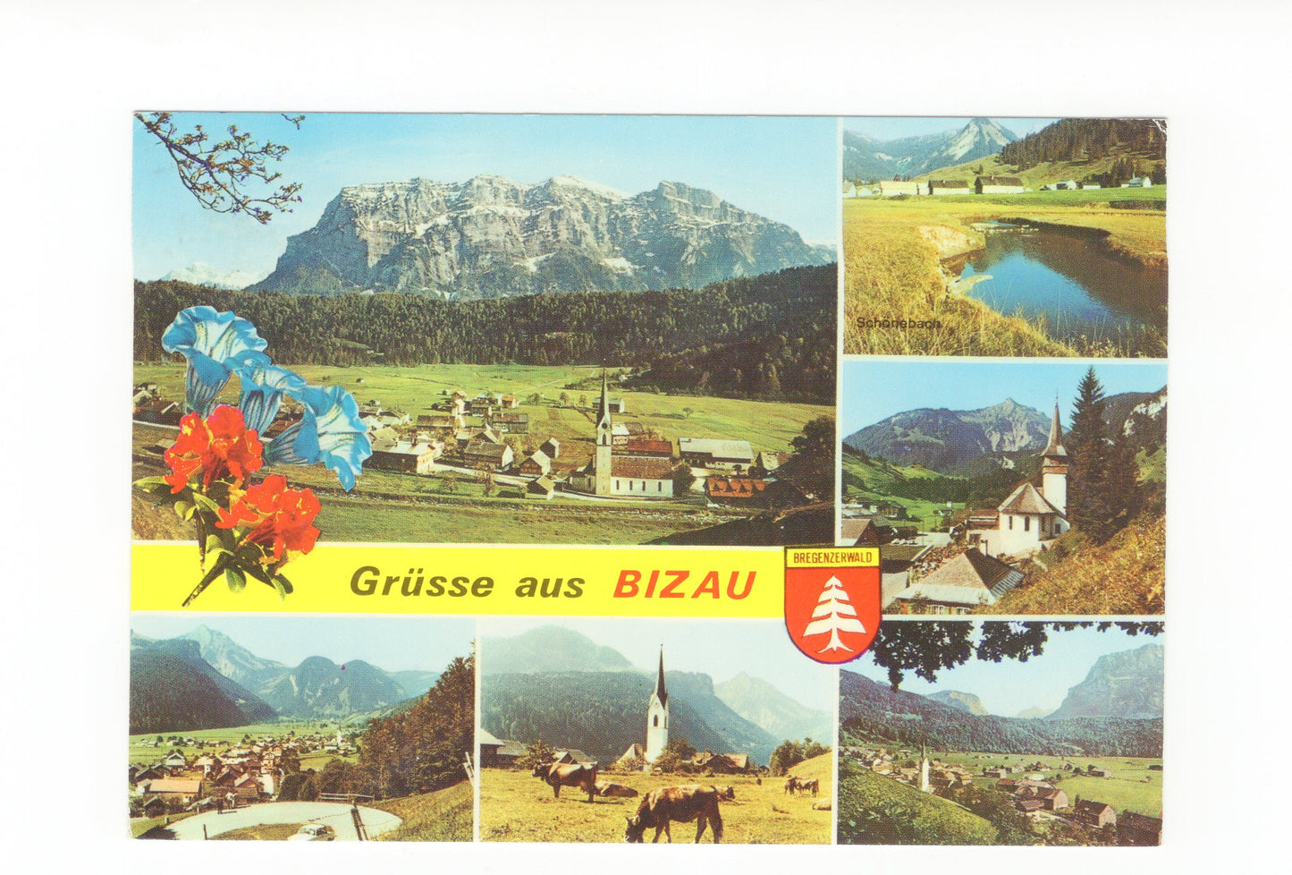 Ansichtskarte Bizau / Bregenzerwald / Vorarlberg / Österreich