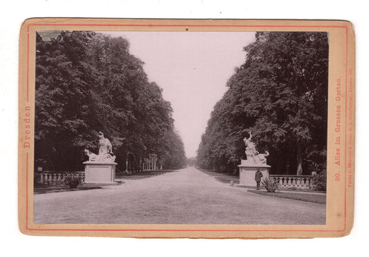 Fotografie Dresden / Allee im Großen Garten - 1891 / CAB V-21