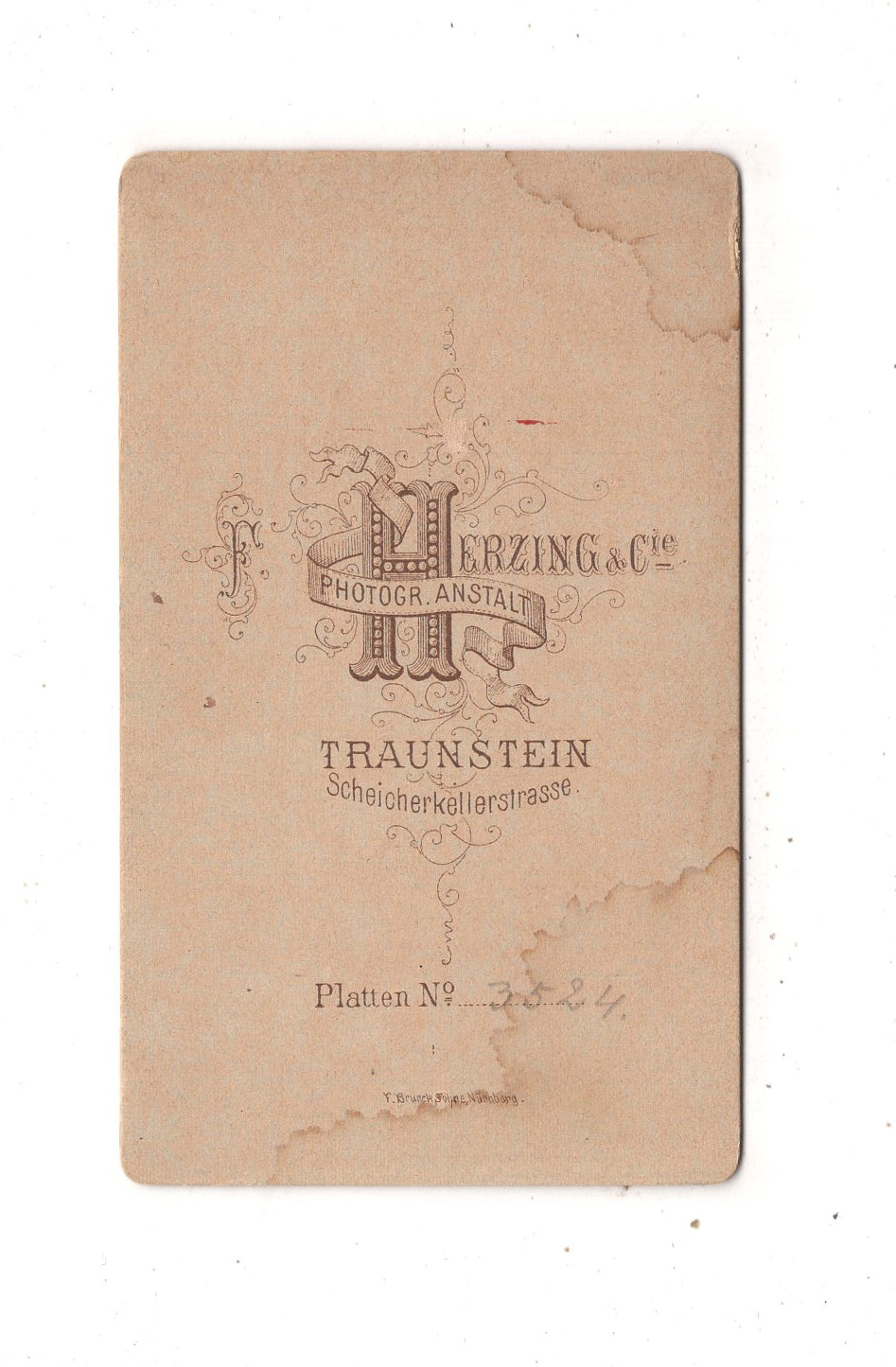 Fotografie Damenportrait - Traunstein um 1880