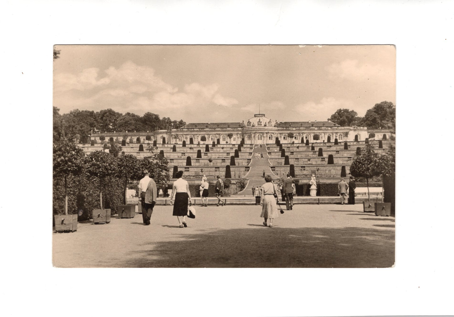 Ansichtskarte Potsdam / Blick zum Schloss Sanssouci