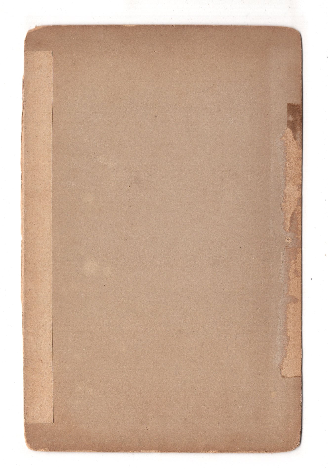 Fotografie Dresden / Allee im Großen Garten - 1891 / CAB V-21