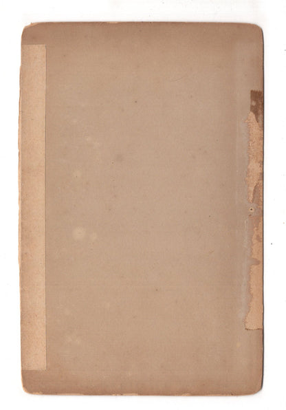 Fotografie Dresden / Allee im Großen Garten - 1891 / CAB V-21