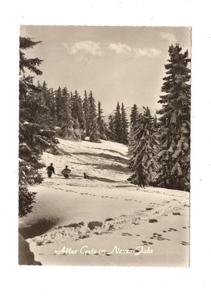 Ansichtskarte Feiertage / Frohes neues Jahr / K1-70