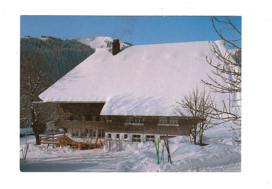 Ansichtskarte Raimartihof / Fasthaus zum Feldsee / Feldberg / G1-68