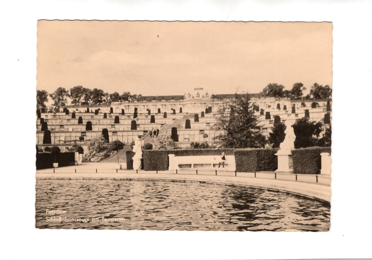 Ansichtskarte Potsdam / Schloss Sanssouci mit Terrassen