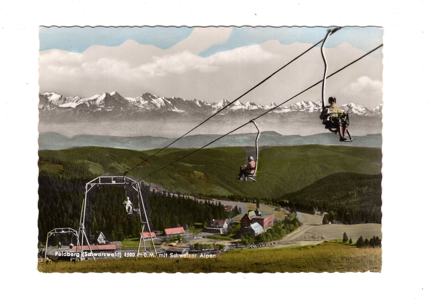 Ansichtskarte Feldberg / Schwarzwald / mit Schweizer Alpen / G1-68