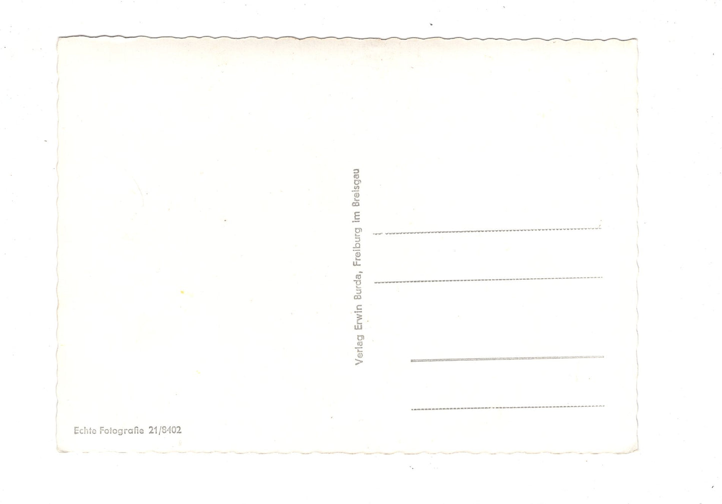 Ansichtskarte Feldberg / Schwarzwald / mit Schweizer Alpen / G1-68