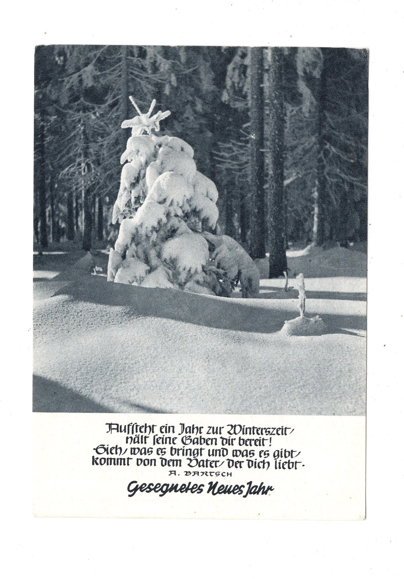 Ansichtskarte Feiertage / Frohes neues Jahr / K1-70