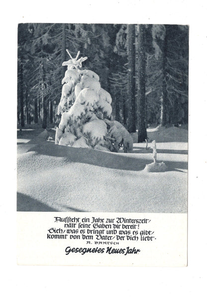 Ansichtskarte Feiertage / Frohes neues Jahr / K1-70