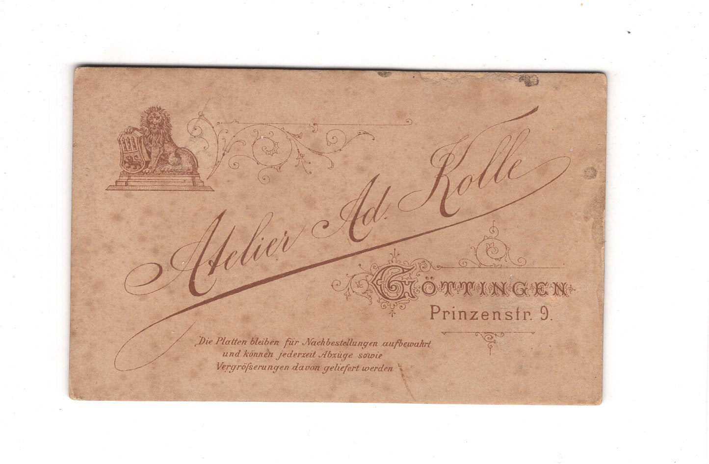 Fotografie Damenportrait - Göttingen 1890er / CDV C1-15