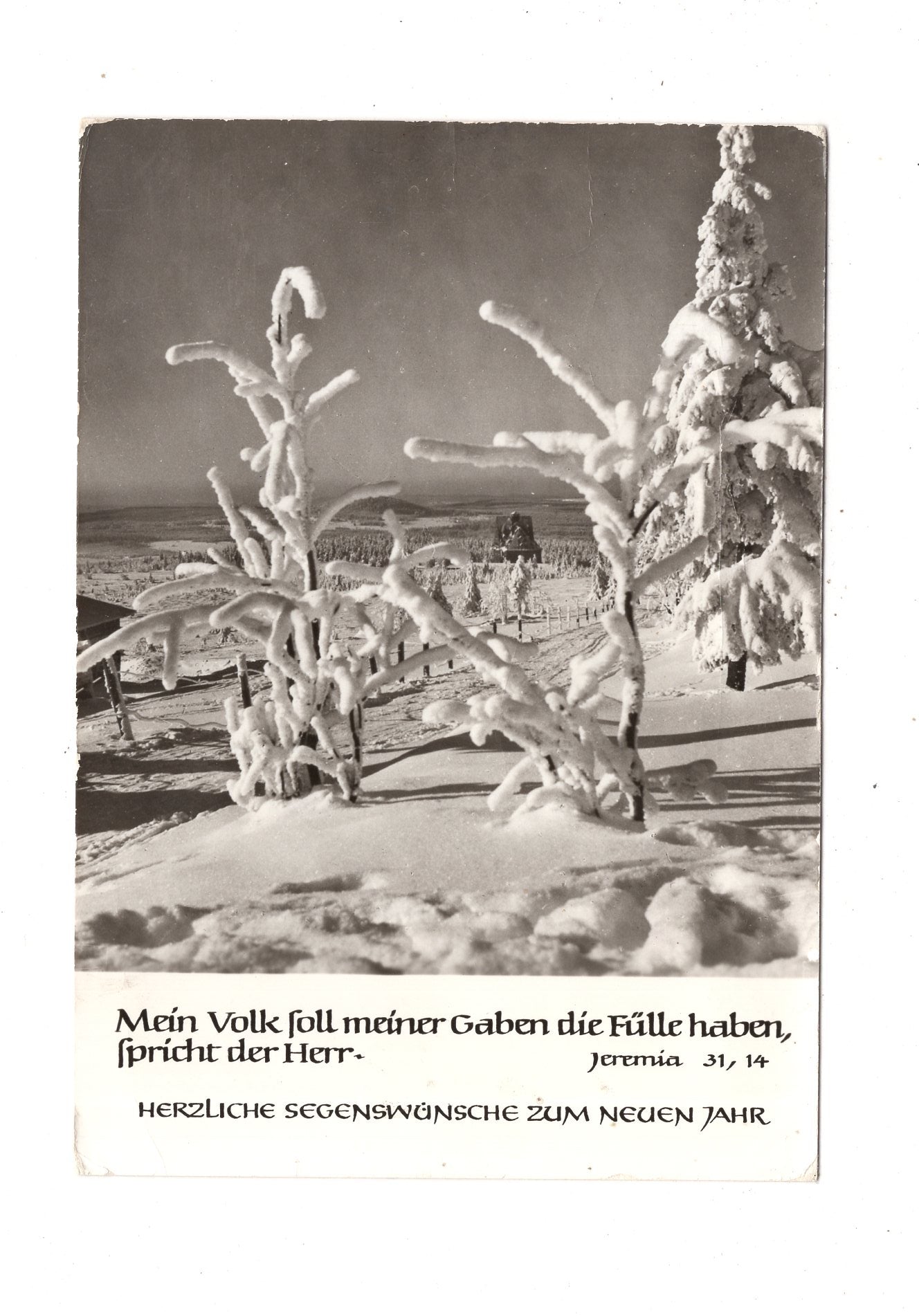 Ansichtskarte Feiertage / Frohes neues Jahr / K1-70