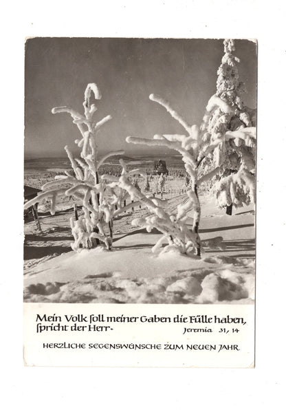 Ansichtskarte Feiertage / Frohes neues Jahr / K1-70